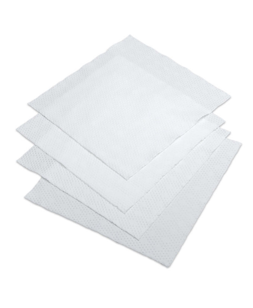 Berkshire Gamma SuperSorb LE Wipes