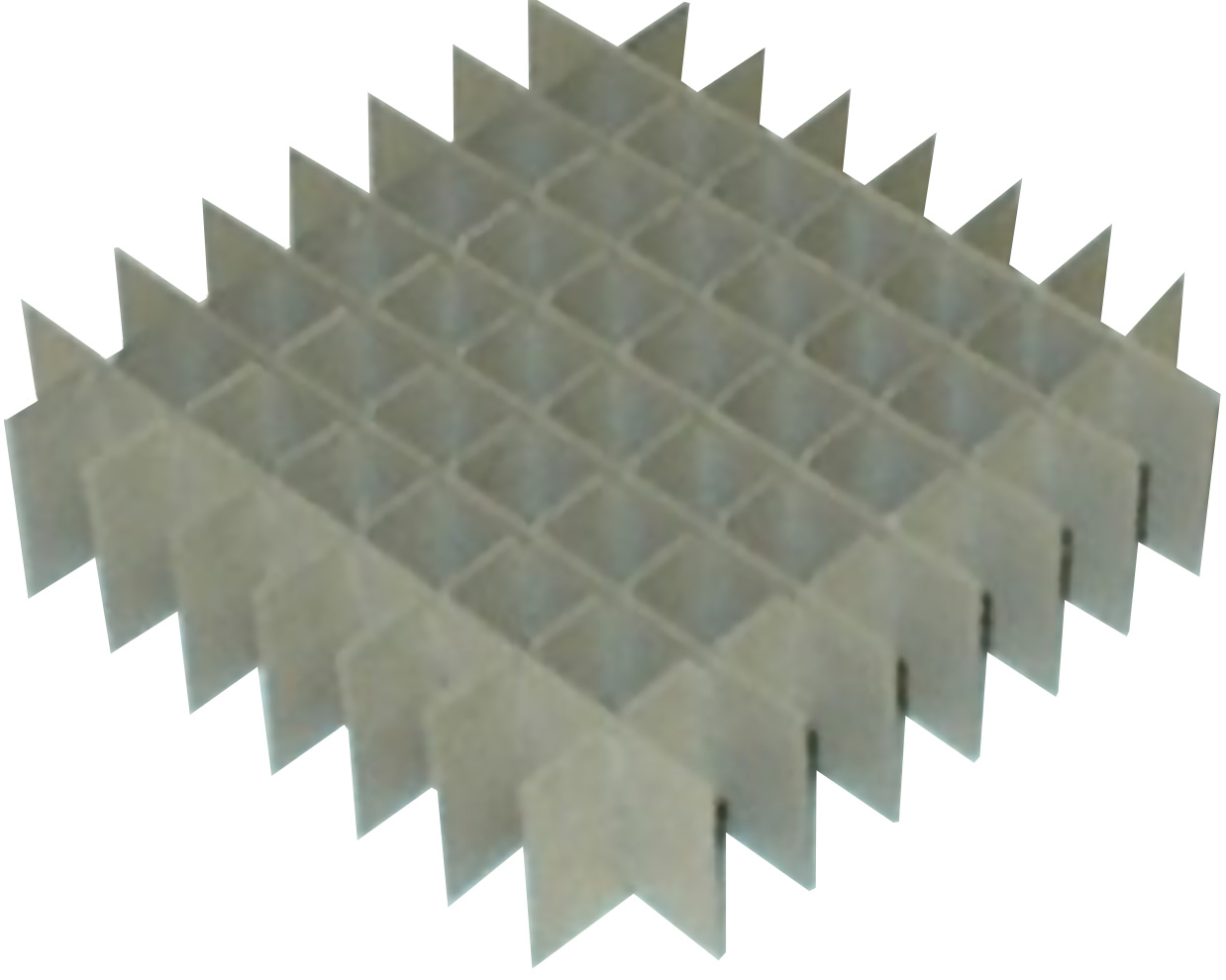 BioPharm World Carboard Divider