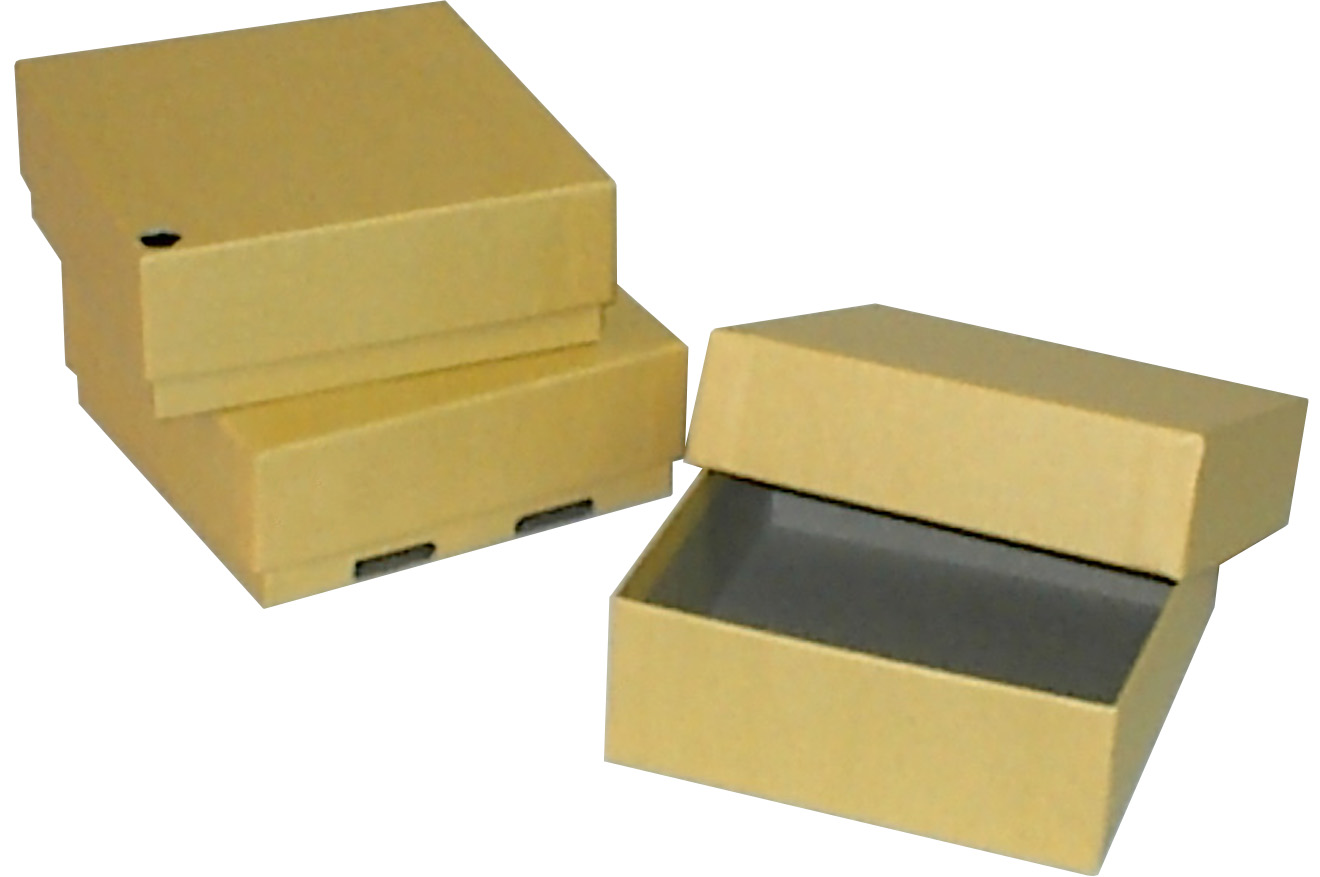 BioPharm World Carboard Freezer box