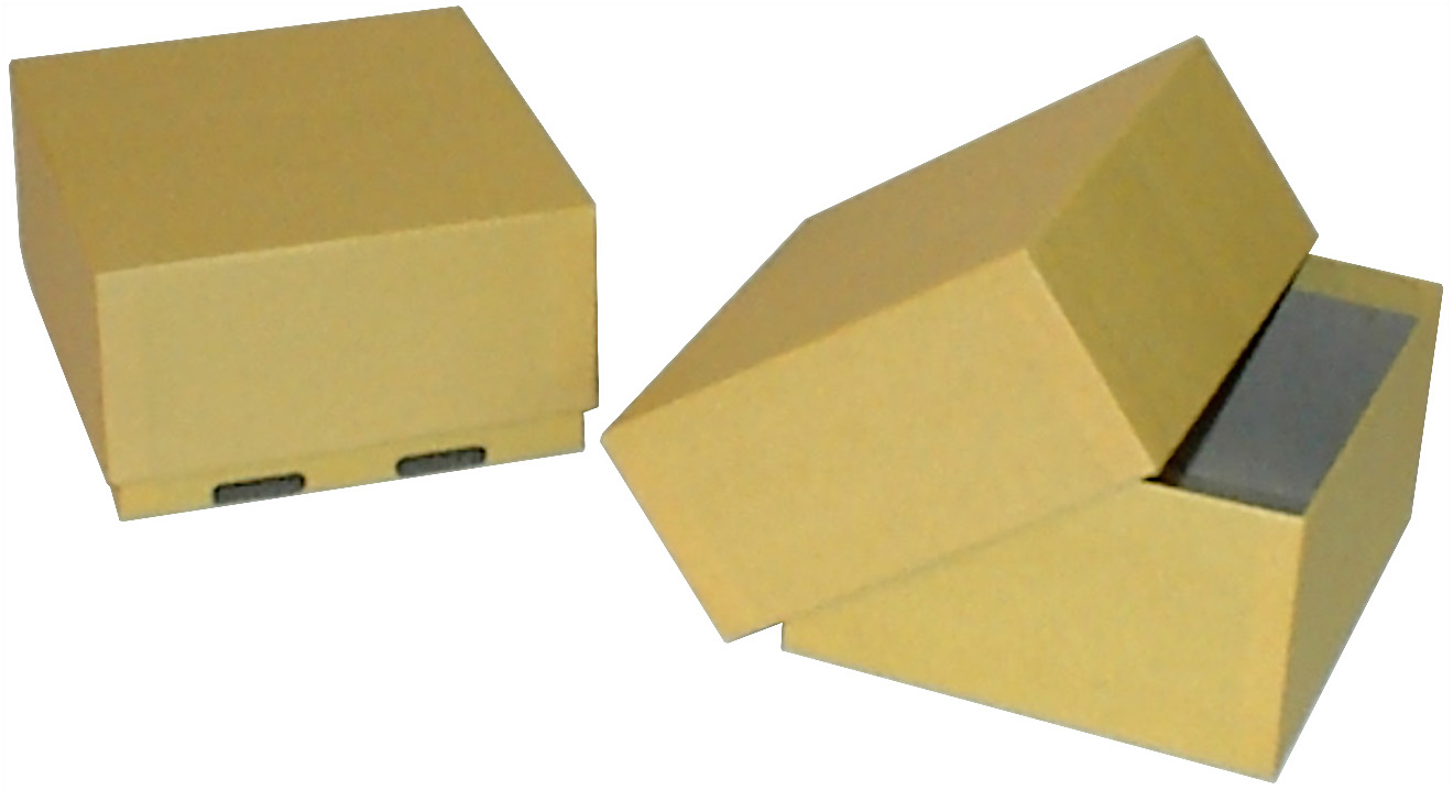 BioPharm World Carboard Freezer box