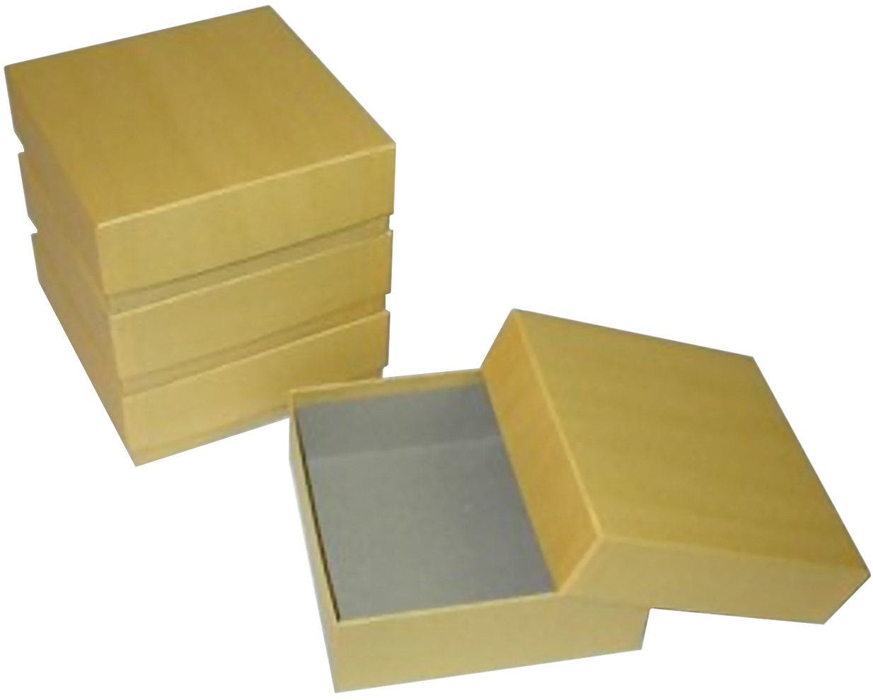 BioPharm World Oversized Cardboard Freezer Box