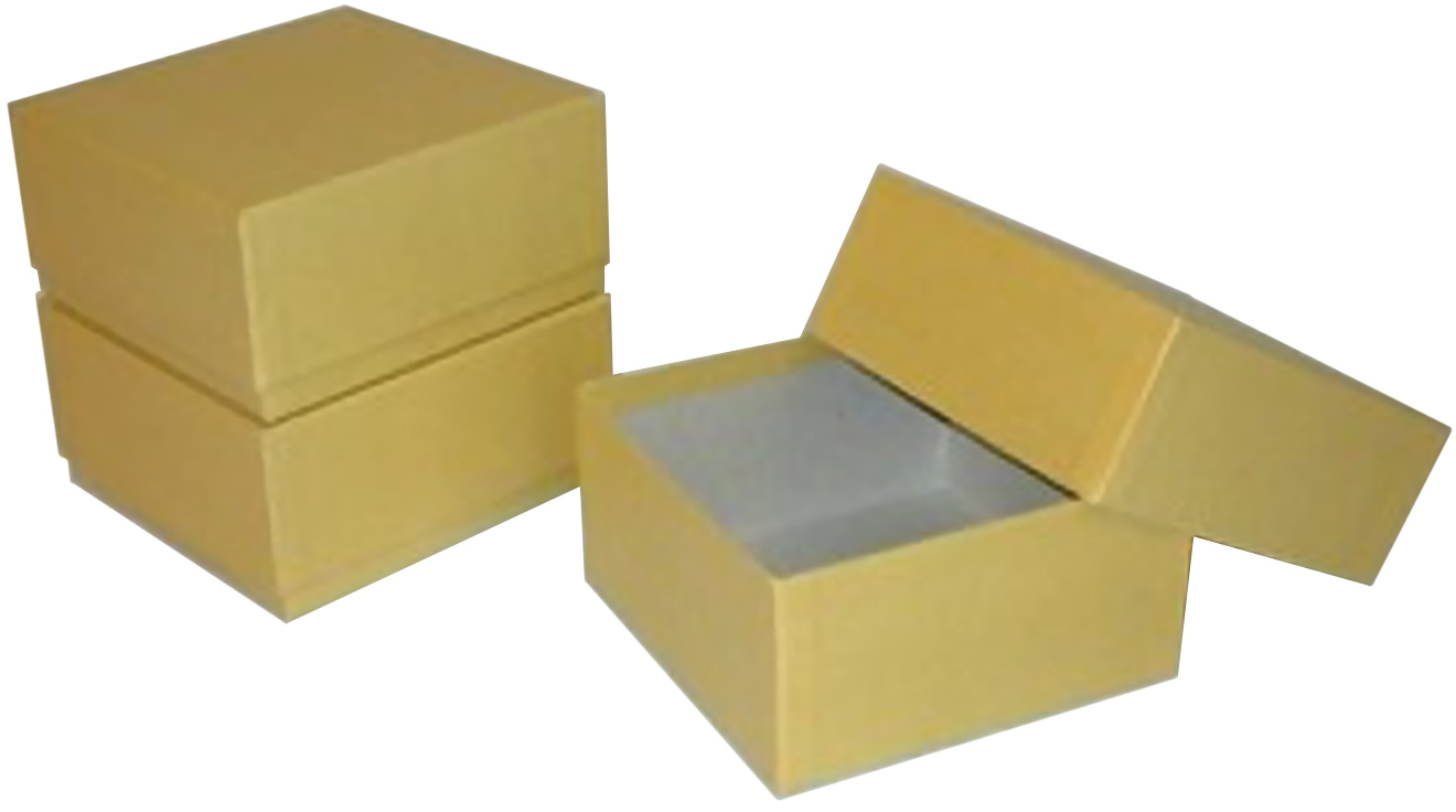 BioPharm World Oversized Cardboard Freezer Box