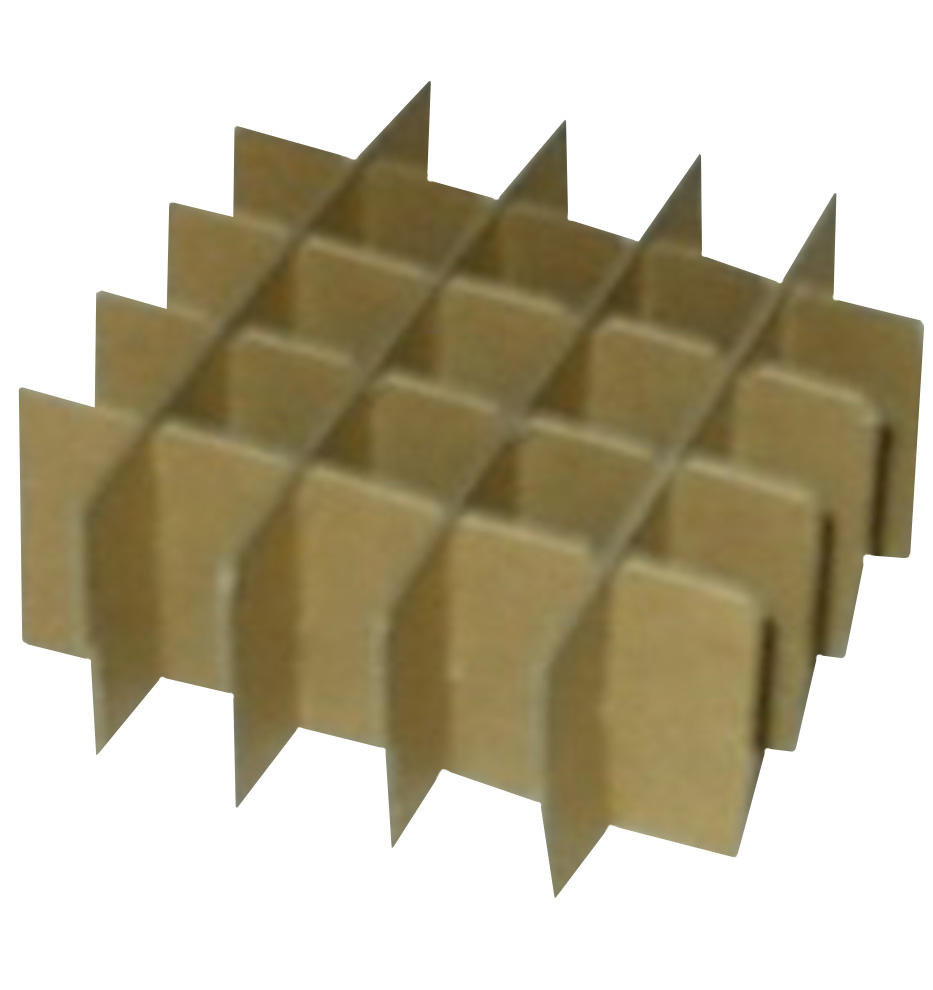 BioPharm World Cardboard Divider