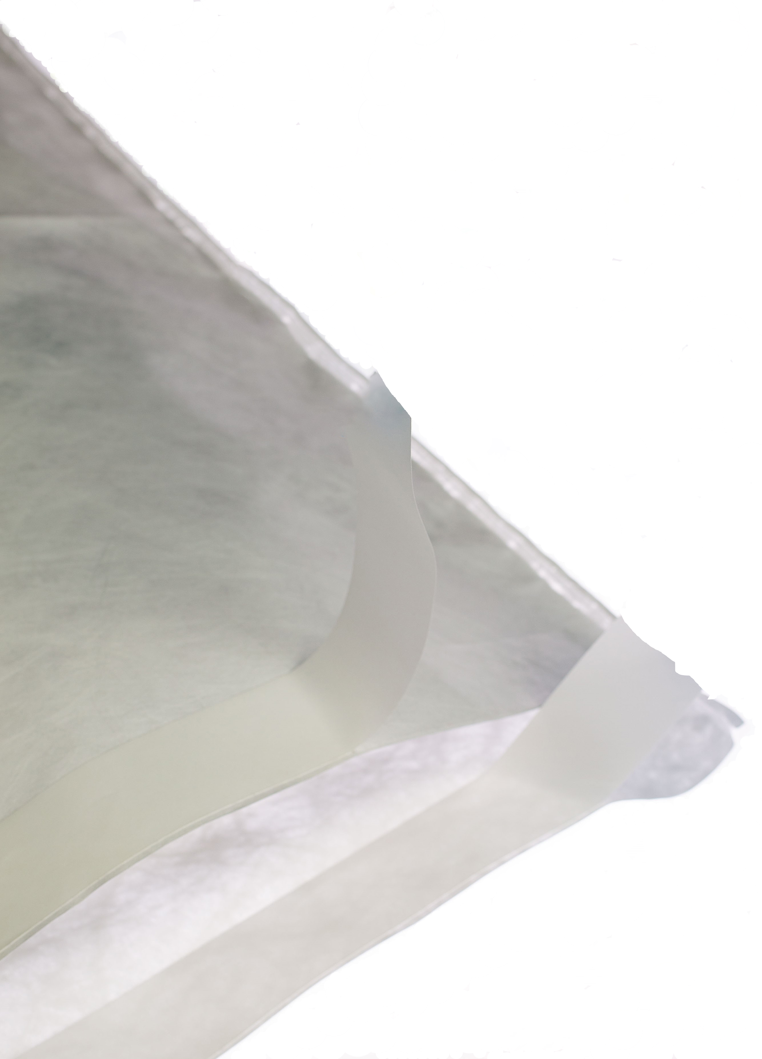 Keystone Cleanroom Products Self Sealing 1073B Tyvek Autoclave Bag